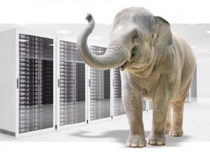 Elephant-in-the-Big-Data-Room-300x218